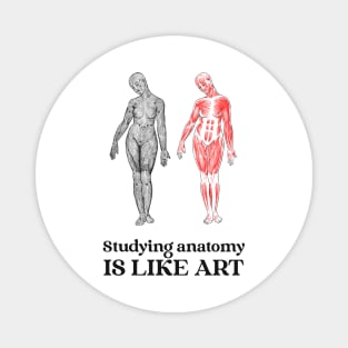 Studying Anatomy Is Like Art - Medical Student in Medschool Magnet